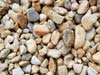 goose-egg-stone